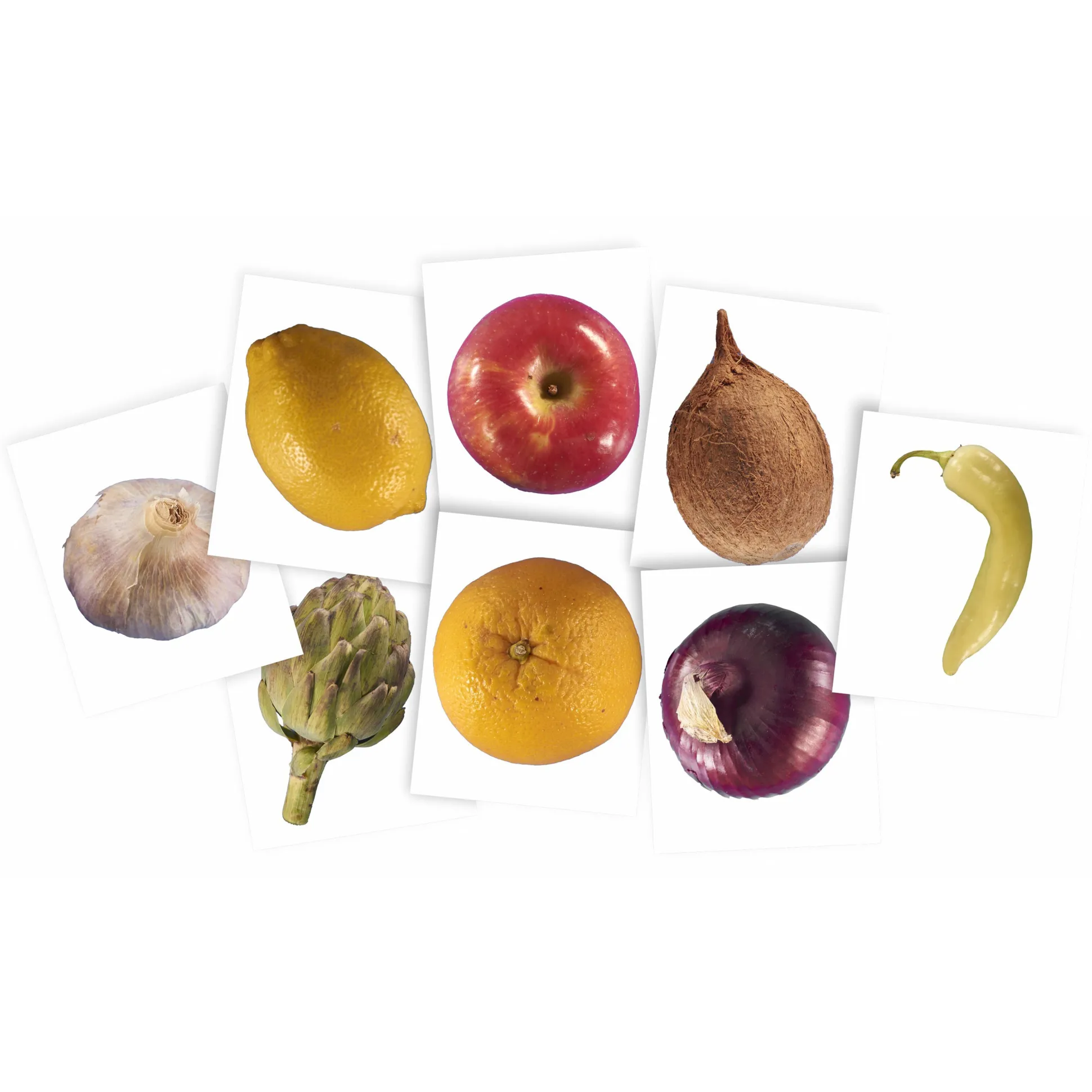 Plant X-Rays STEM Learning Card Set | Botanical Science Matching Activity with 42 Plant X-Ray Images & 42 Picture Cards