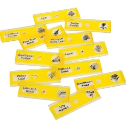 Prepared Slide Kit - Plants
