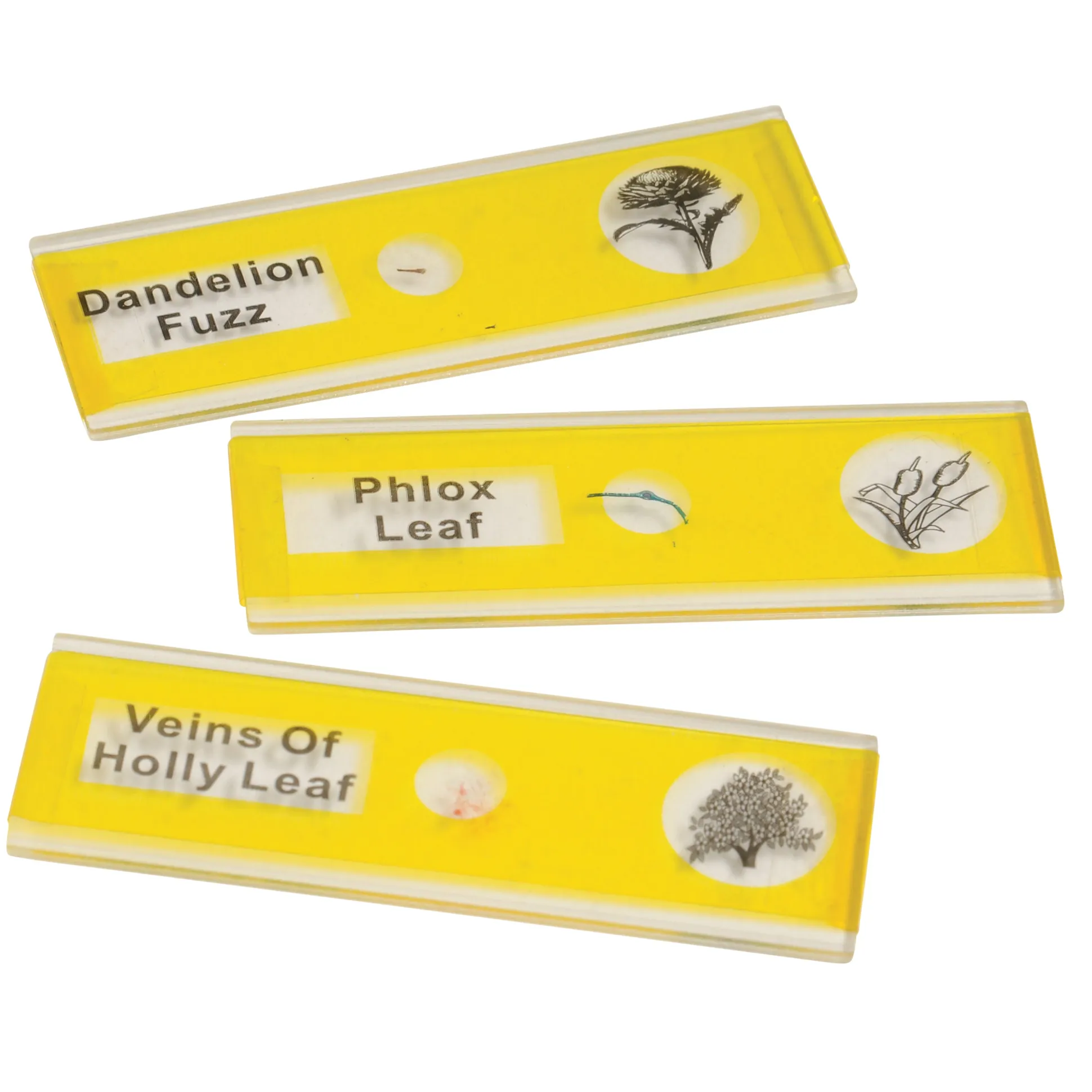 Prepared Slide Kit - Plants