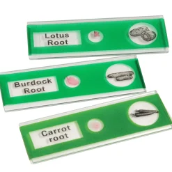 Prepared Slide Kit - Vegetables