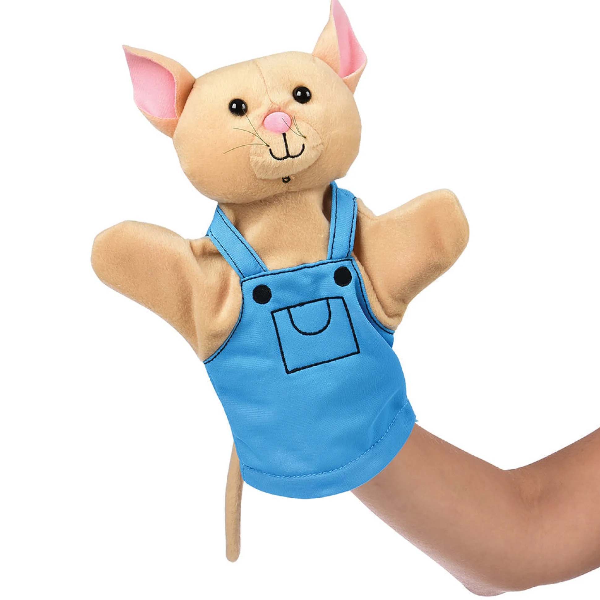 Puppet and Props for If You Take A Mouse To School Book*