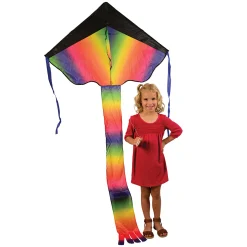 Rainbow Dragon Tail Kite | Easy-Fly Nylon Kite with 41