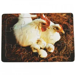 Real Life Mother & Baby Animal Puzzles - Farm Animals