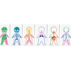 Roylco Look Inside Me Paint Sheets | Learn Anatomy Through Creative Play