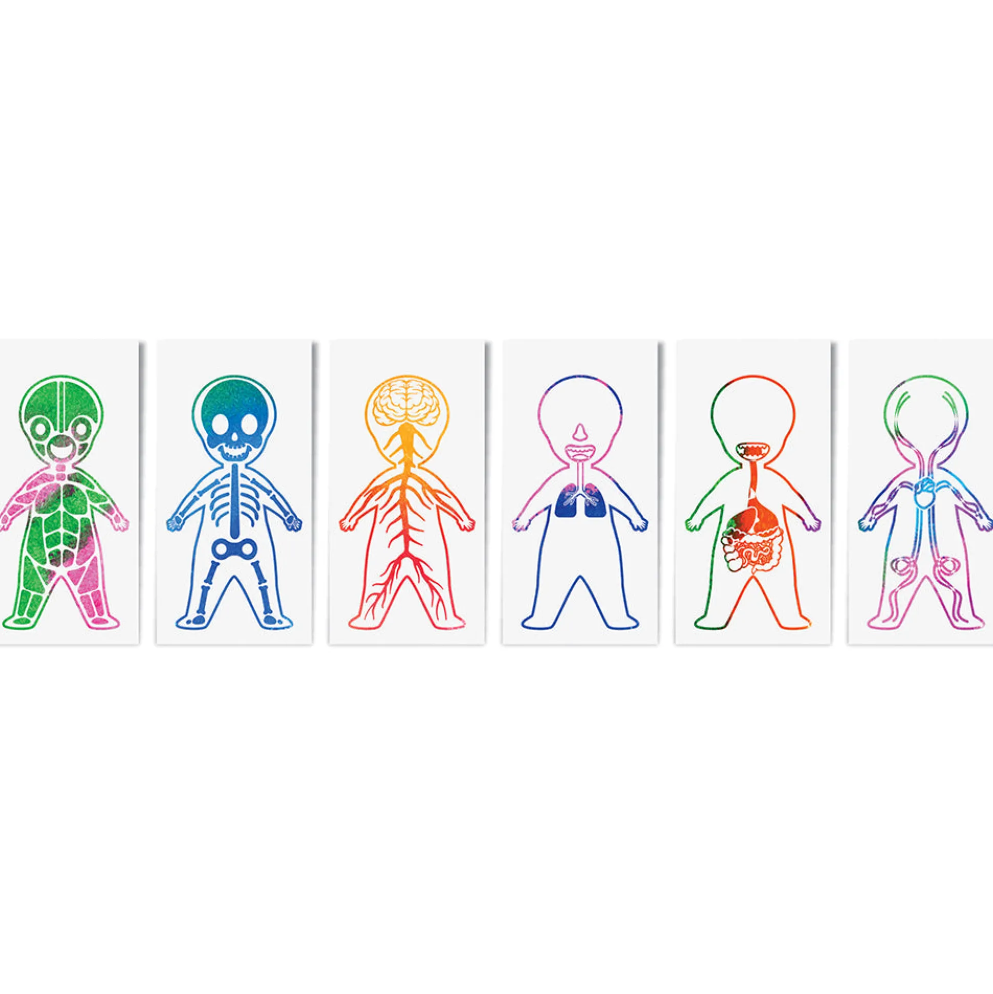 Roylco Look Inside Me Paint Sheets | Learn Anatomy Through Creative Play