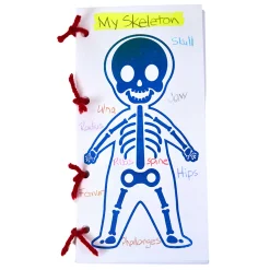 Roylco Look Inside Me Paint Sheets | Learn Anatomy Through Creative Play