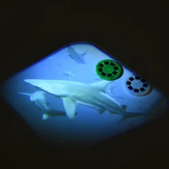 Sharks Projector