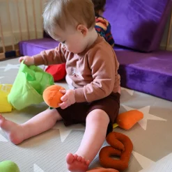 Soft Sorting Food Bags