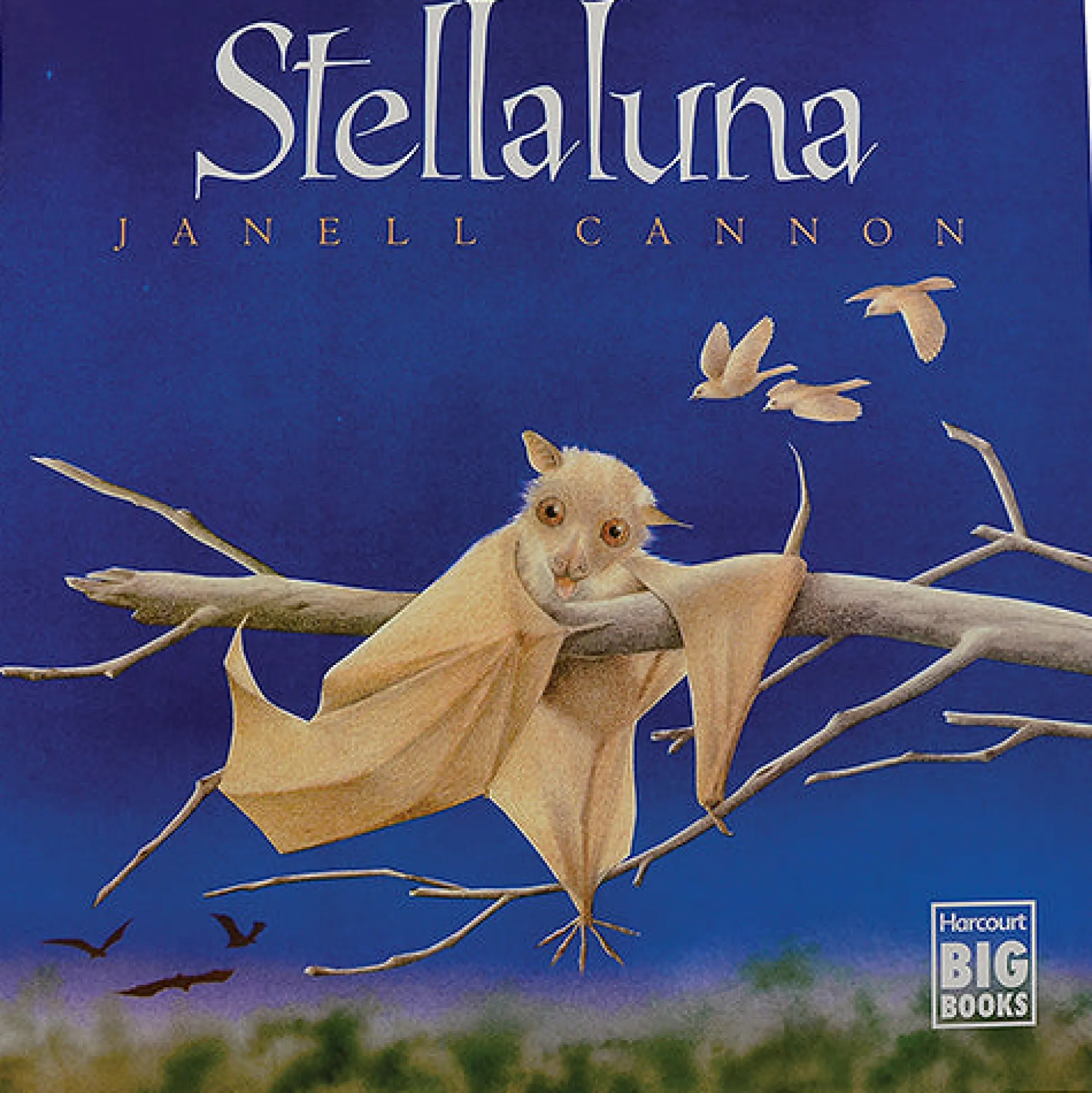 Treasured Tales Big Books-Stellaluna