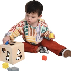 Wooden Animal and Shape Sorter