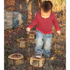 Wood Stepping Slice