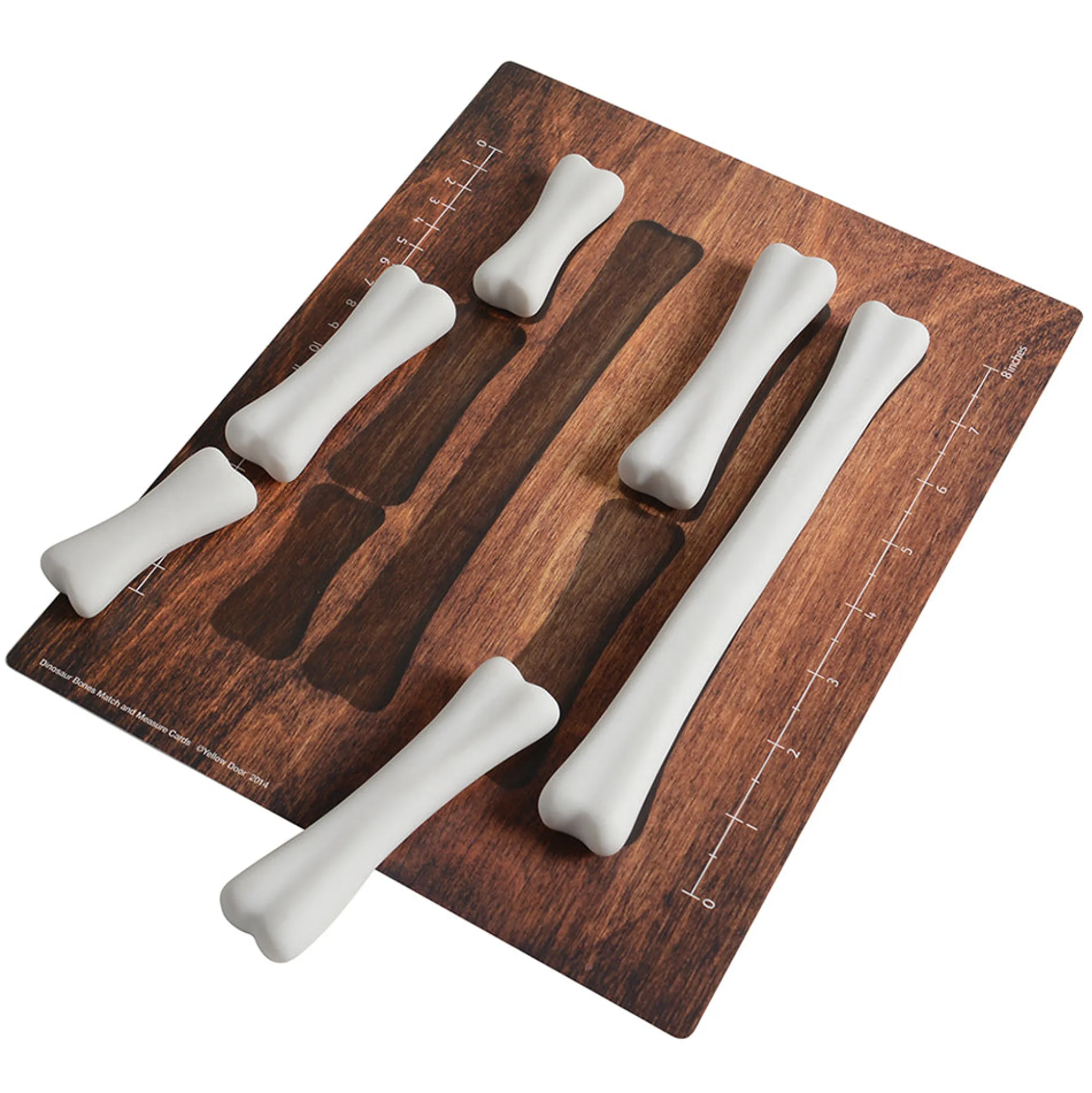Yellow Door® Dinosaur Bones with Match & Measure Cards Exploration Set