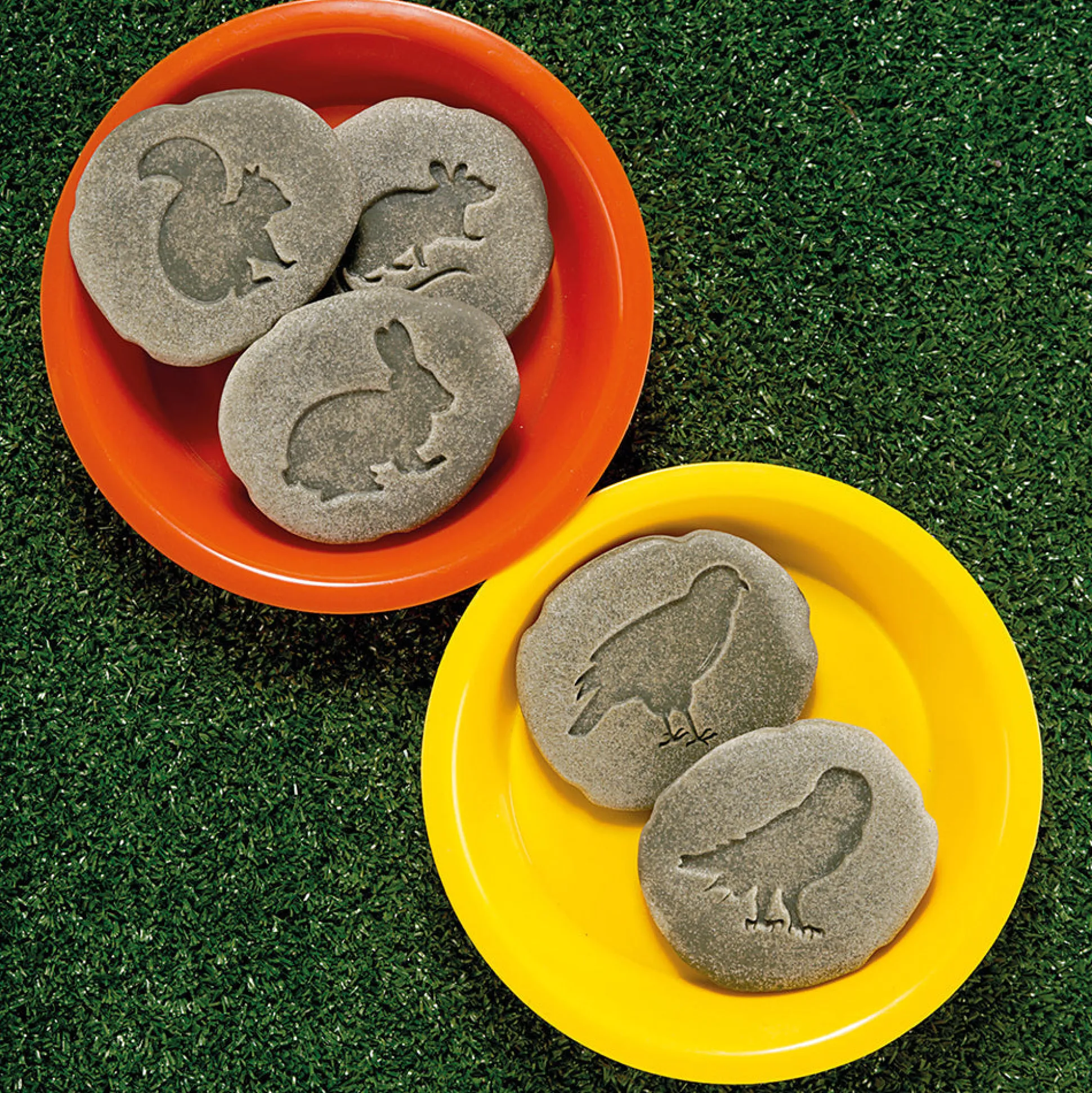 Yellow Door® Let's Investigate Woodland Footprints Double-Sided Animal Stones