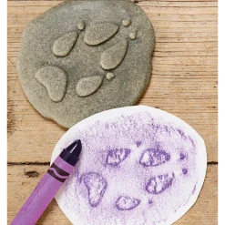 Yellow Door® Let's Investigate Woodland Footprints Double-Sided Animal Stones