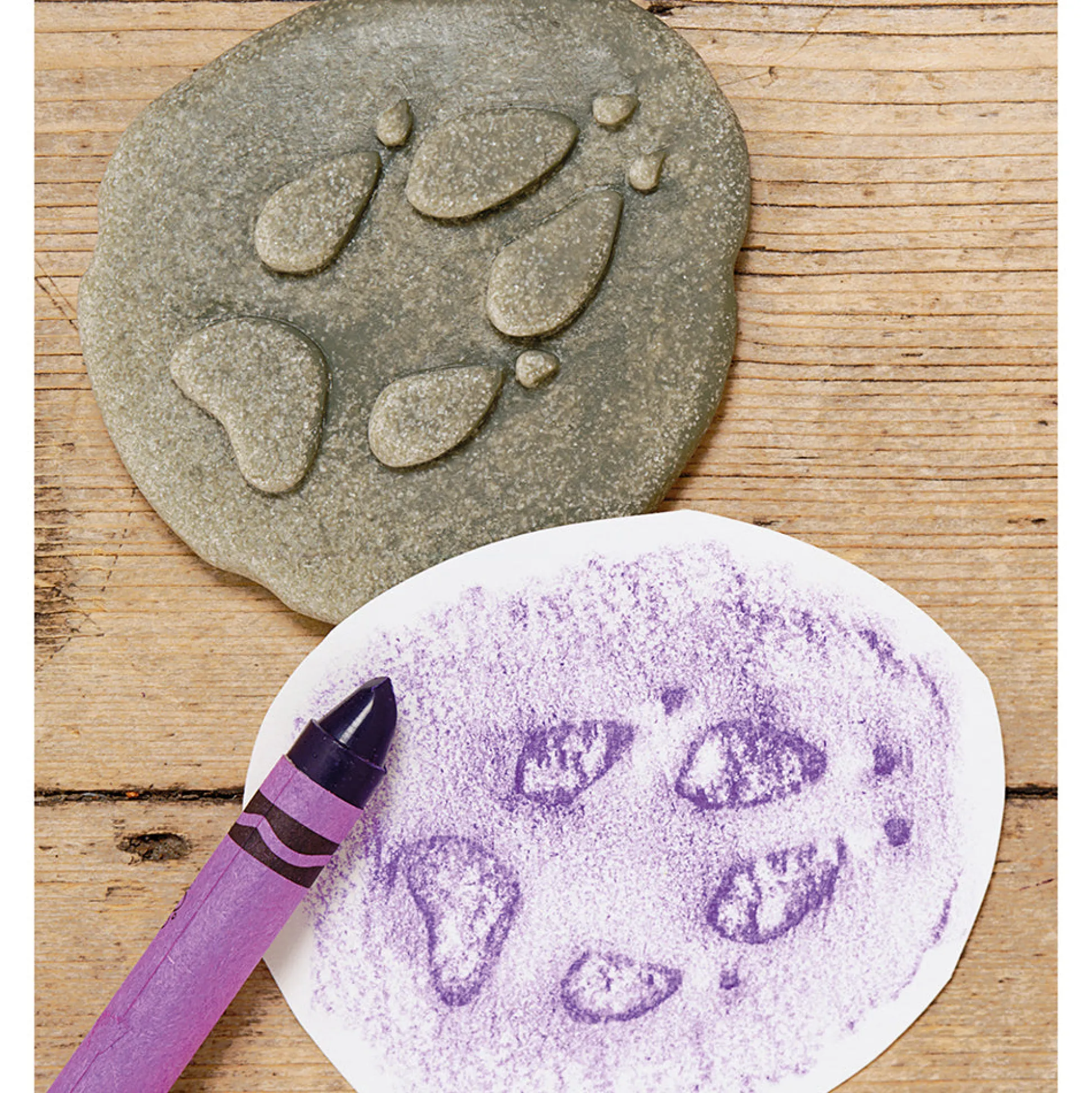 Yellow Door® Let's Investigate Woodland Footprints Double-Sided Animal Stones