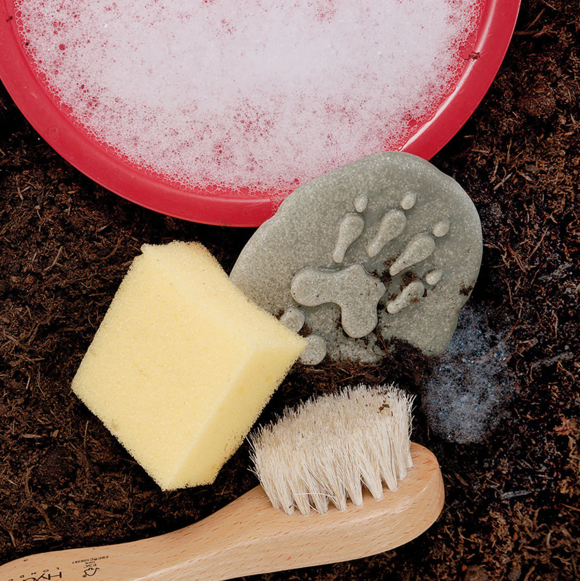 Yellow Door® Let's Investigate Woodland Footprints Double-Sided Animal Stones