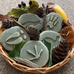 Yellow Door® Let's Investigate Woodland Footprints Double-Sided Animal Stones