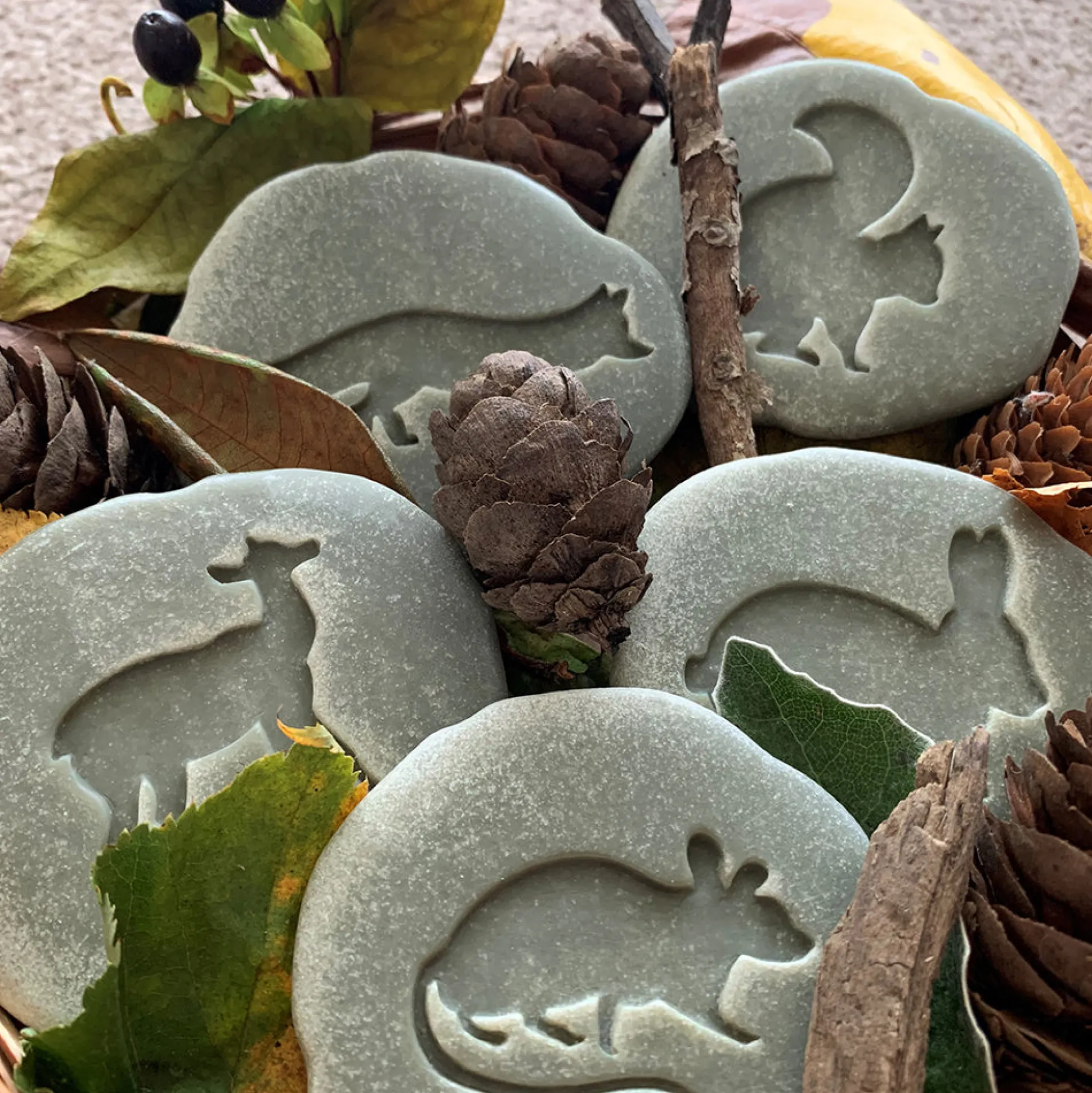 Yellow Door® Let's Investigate Woodland Footprints Double-Sided Animal Stones