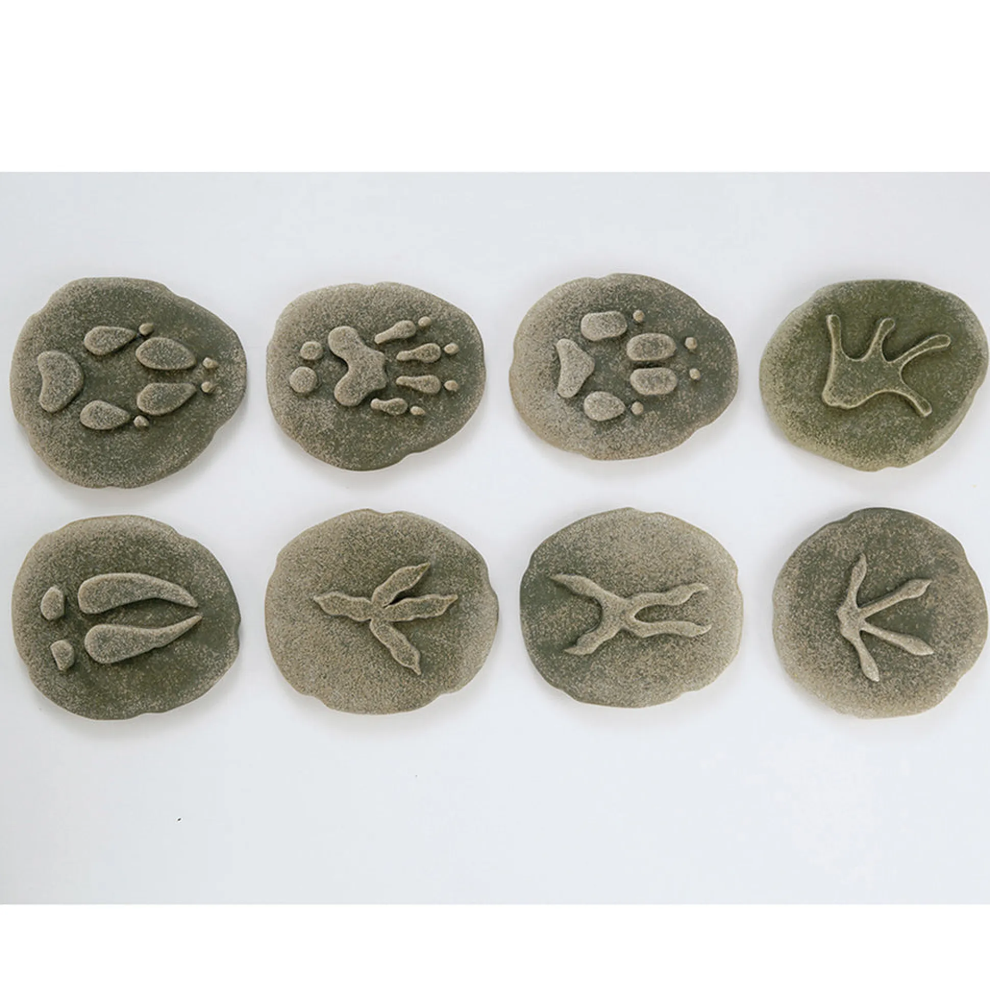 Yellow Door® Let's Investigate Woodland Footprints Double-Sided Animal Stones