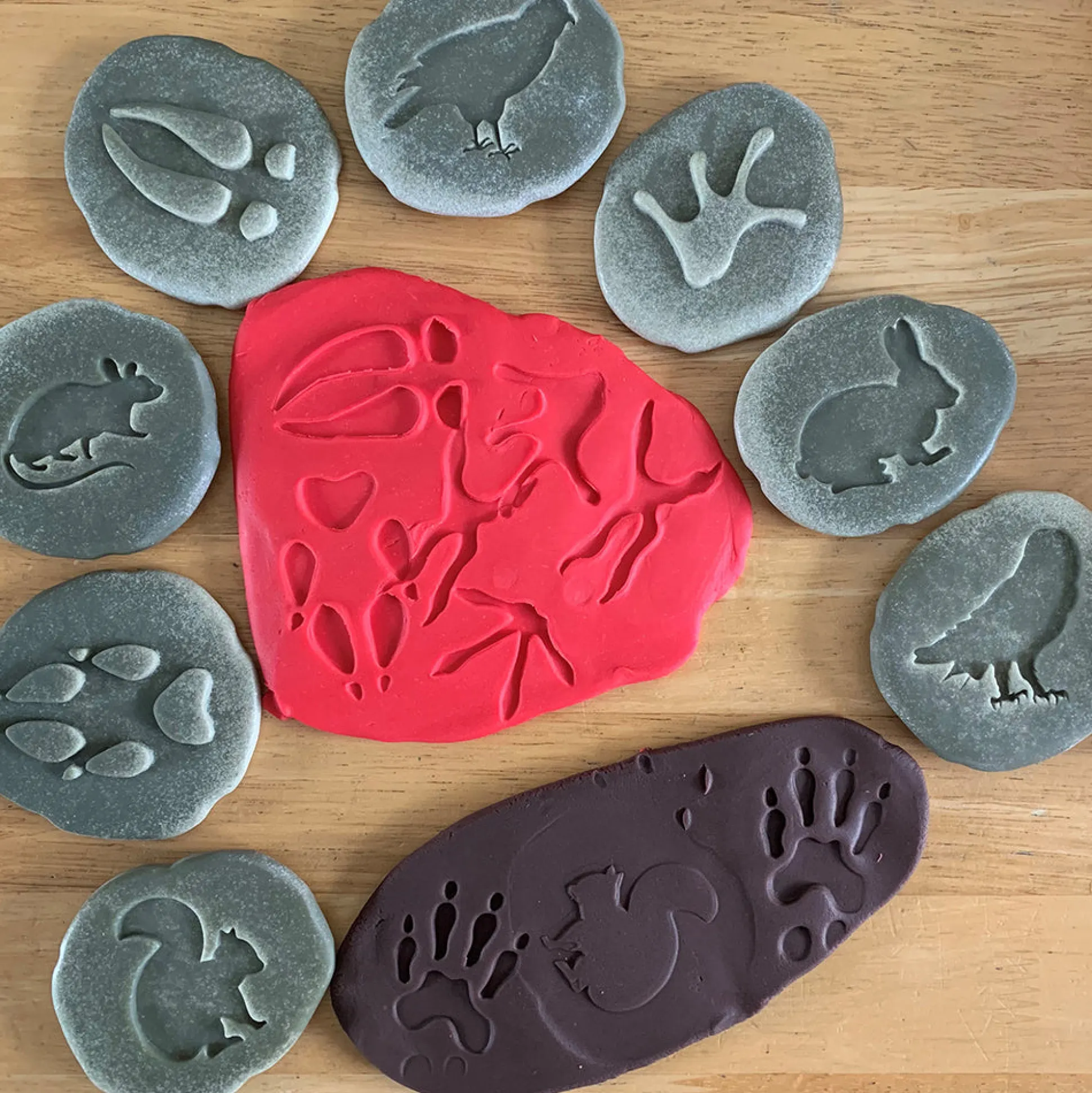 Yellow Door® Let's Investigate Woodland Footprints Double-Sided Animal Stones
