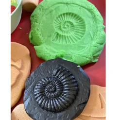 Yellow Door® Let's Investigate Fossils Discovery Kit