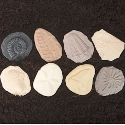 Yellow Door® Let's Investigate Fossils Discovery Kit