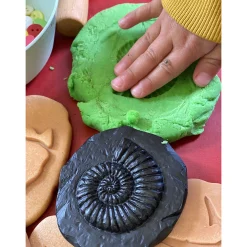 Yellow Door® Let's Investigate Fossils Discovery Kit