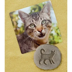 Yellow Door® Let's Investigate Farm Yard Footprints Double-Sided Animal Stones