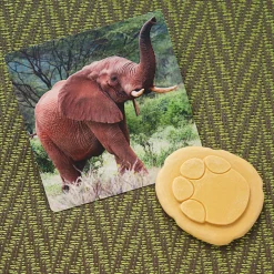 Yellow Door® Let's Investigate Safari Footprints Double-Sided Animal Stones