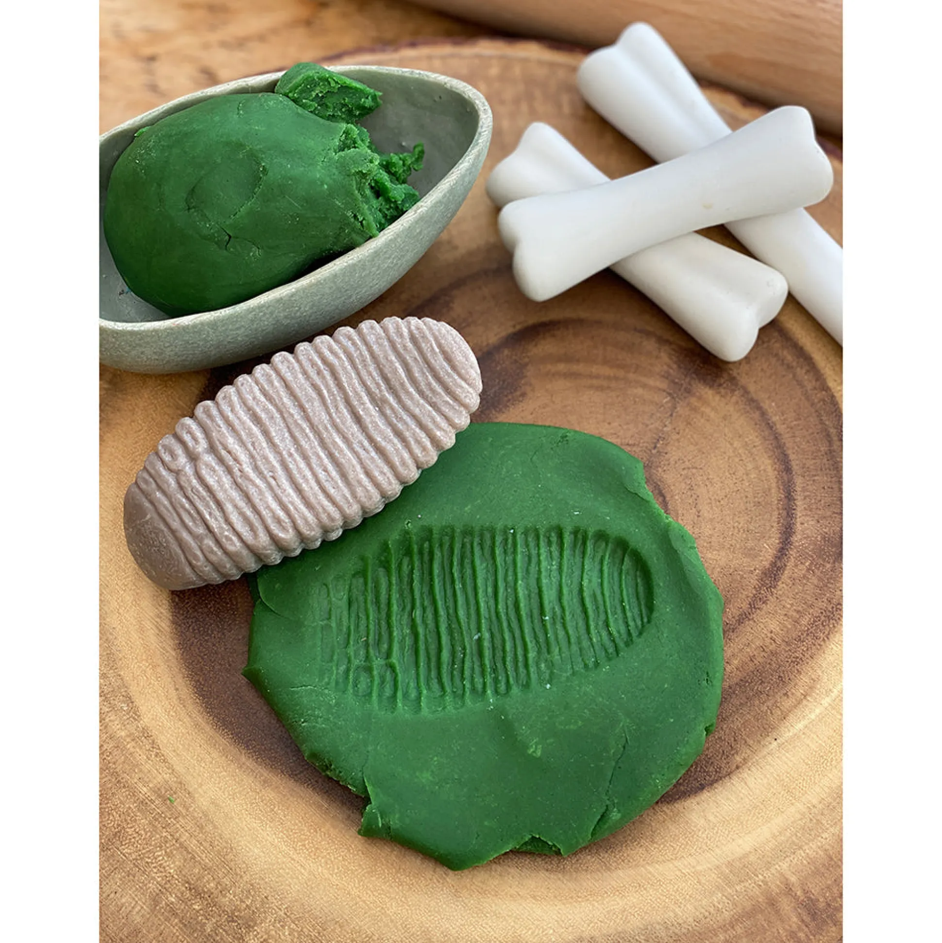 Yellow Door® Let’s Investigate Prehistoric Teeth | 8 Durable Fossil Tooth Replicas for Sensory Play, STEM Learning & Paleontology Exploration