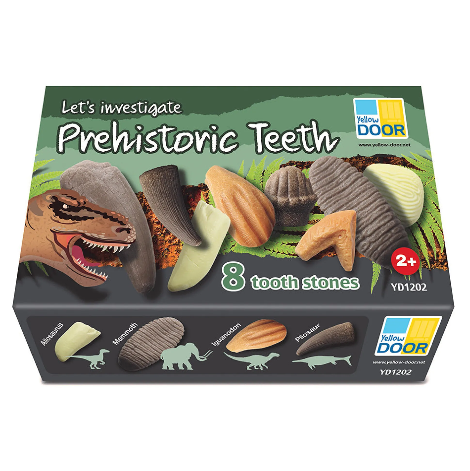 Yellow Door® Let’s Investigate Prehistoric Teeth | 8 Durable Fossil Tooth Replicas for Sensory Play, STEM Learning & Paleontology Exploration