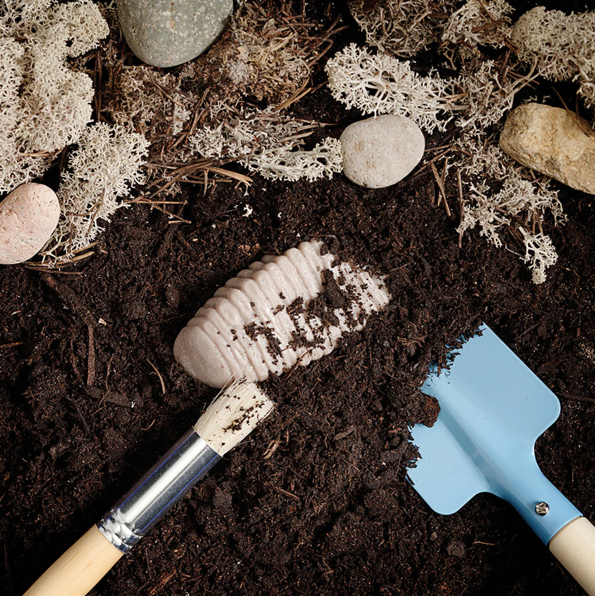 Yellow Door® Let’s Investigate Prehistoric Teeth | 8 Durable Fossil Tooth Replicas for Sensory Play, STEM Learning & Paleontology Exploration