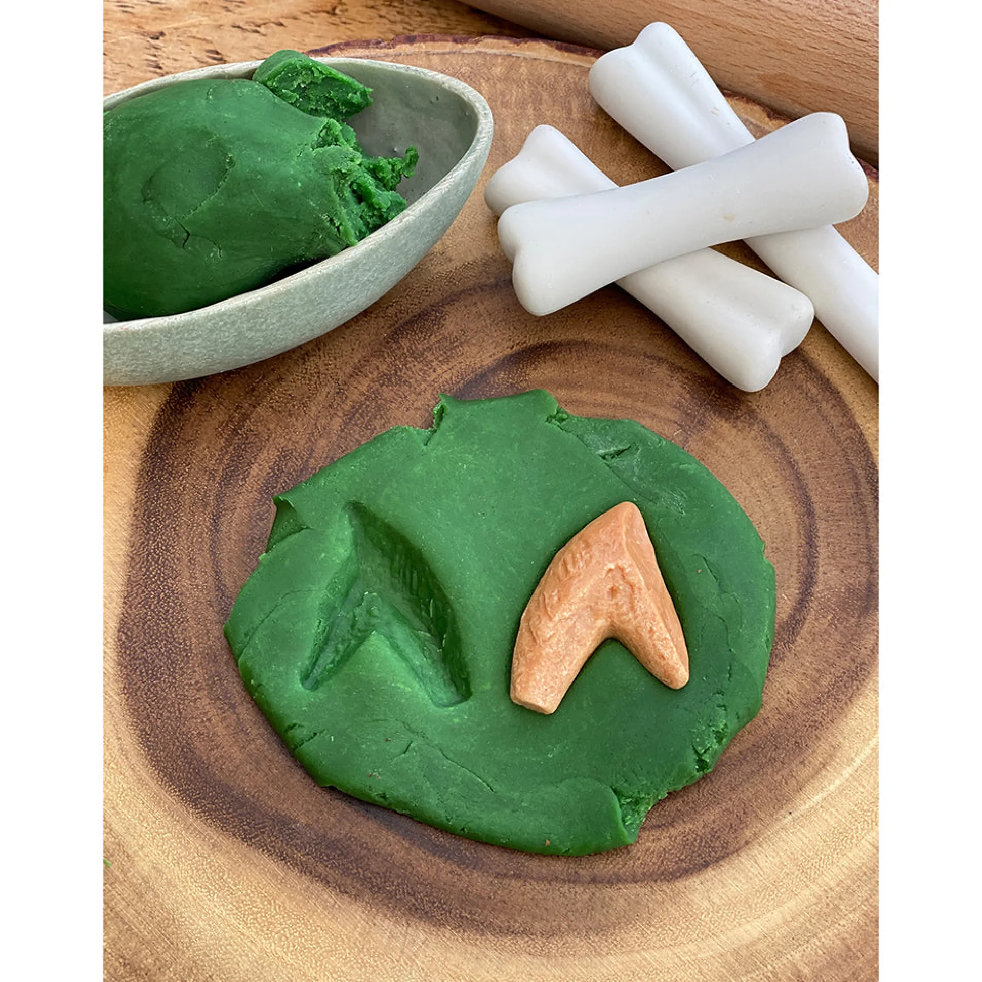Yellow Door® Let’s Investigate Prehistoric Teeth | 8 Durable Fossil Tooth Replicas for Sensory Play, STEM Learning & Paleontology Exploration
