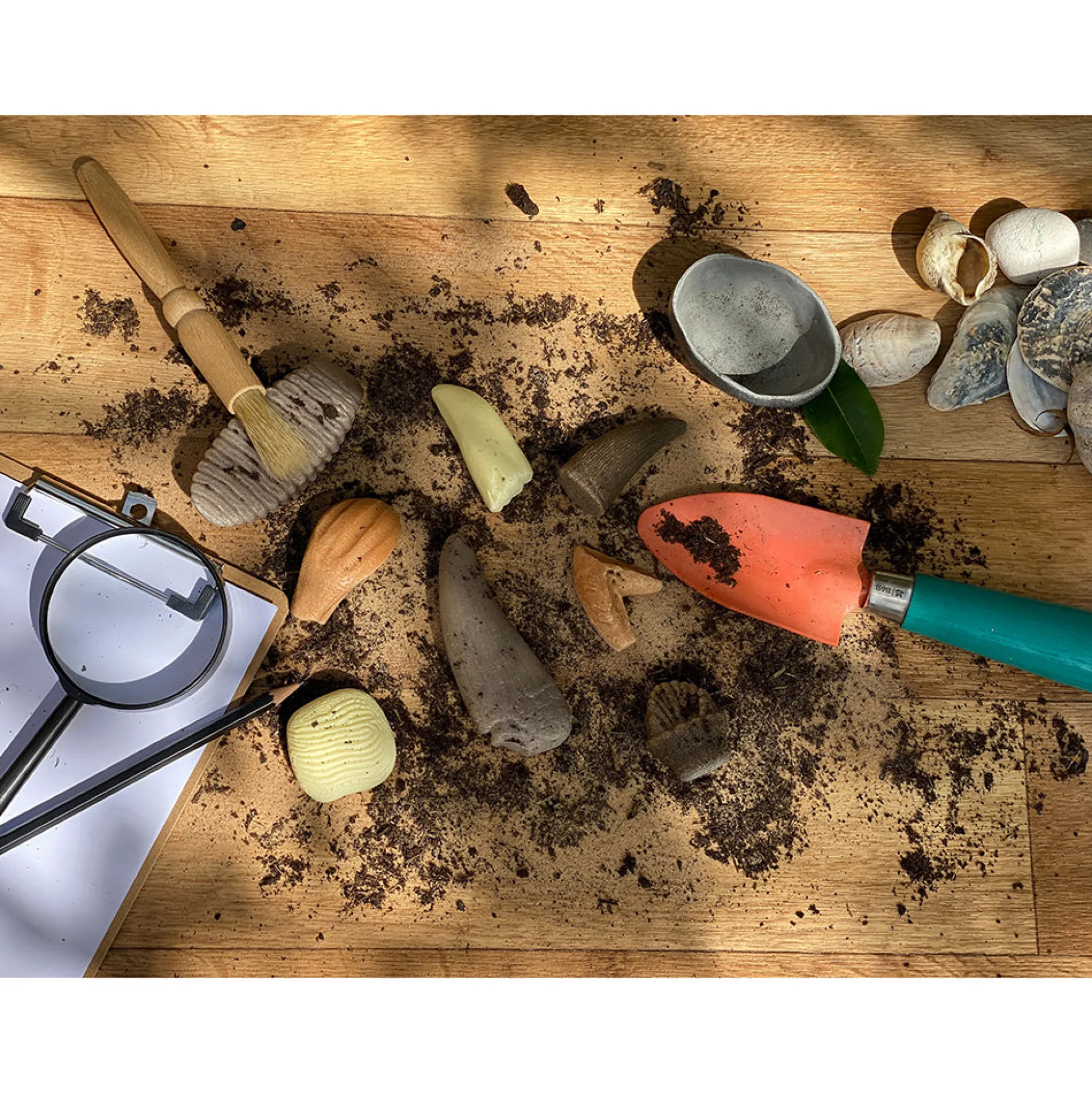 Yellow Door® Let’s Investigate Prehistoric Teeth | 8 Durable Fossil Tooth Replicas for Sensory Play, STEM Learning & Paleontology Exploration