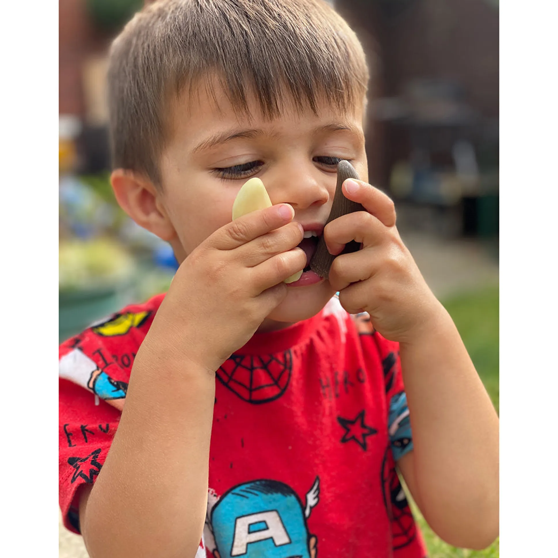 Yellow Door® Let’s Investigate Prehistoric Teeth | 8 Durable Fossil Tooth Replicas for Sensory Play, STEM Learning & Paleontology Exploration