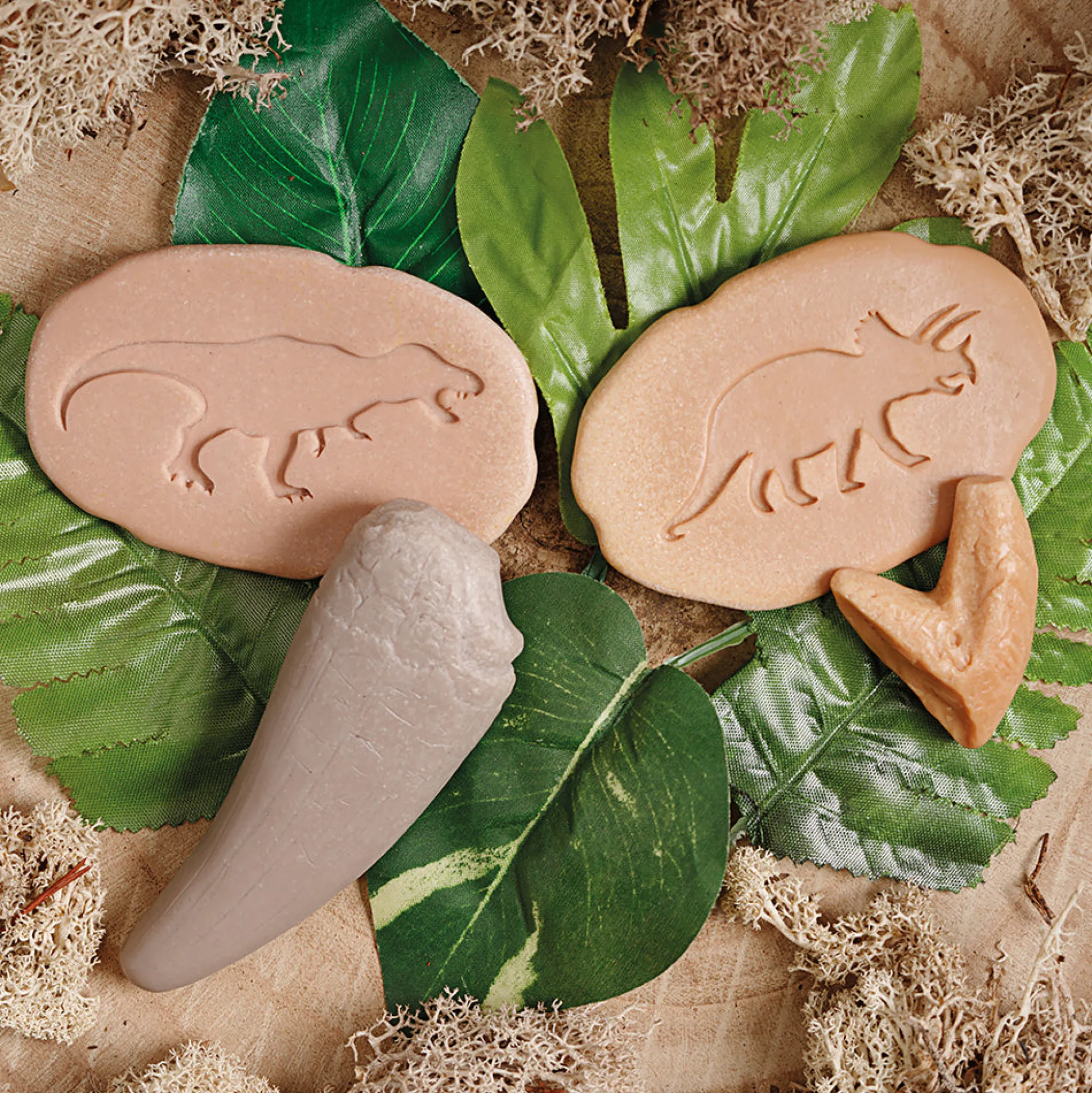 Yellow Door® Let’s Investigate Prehistoric Teeth | 8 Durable Fossil Tooth Replicas for Sensory Play, STEM Learning & Paleontology Exploration