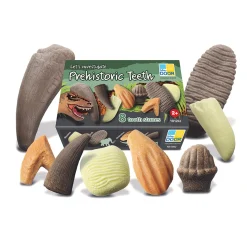 Yellow Door® Let’s Investigate Prehistoric Teeth | 8 Durable Fossil Tooth Replicas for Sensory Play, STEM Learning & Paleontology Exploration
