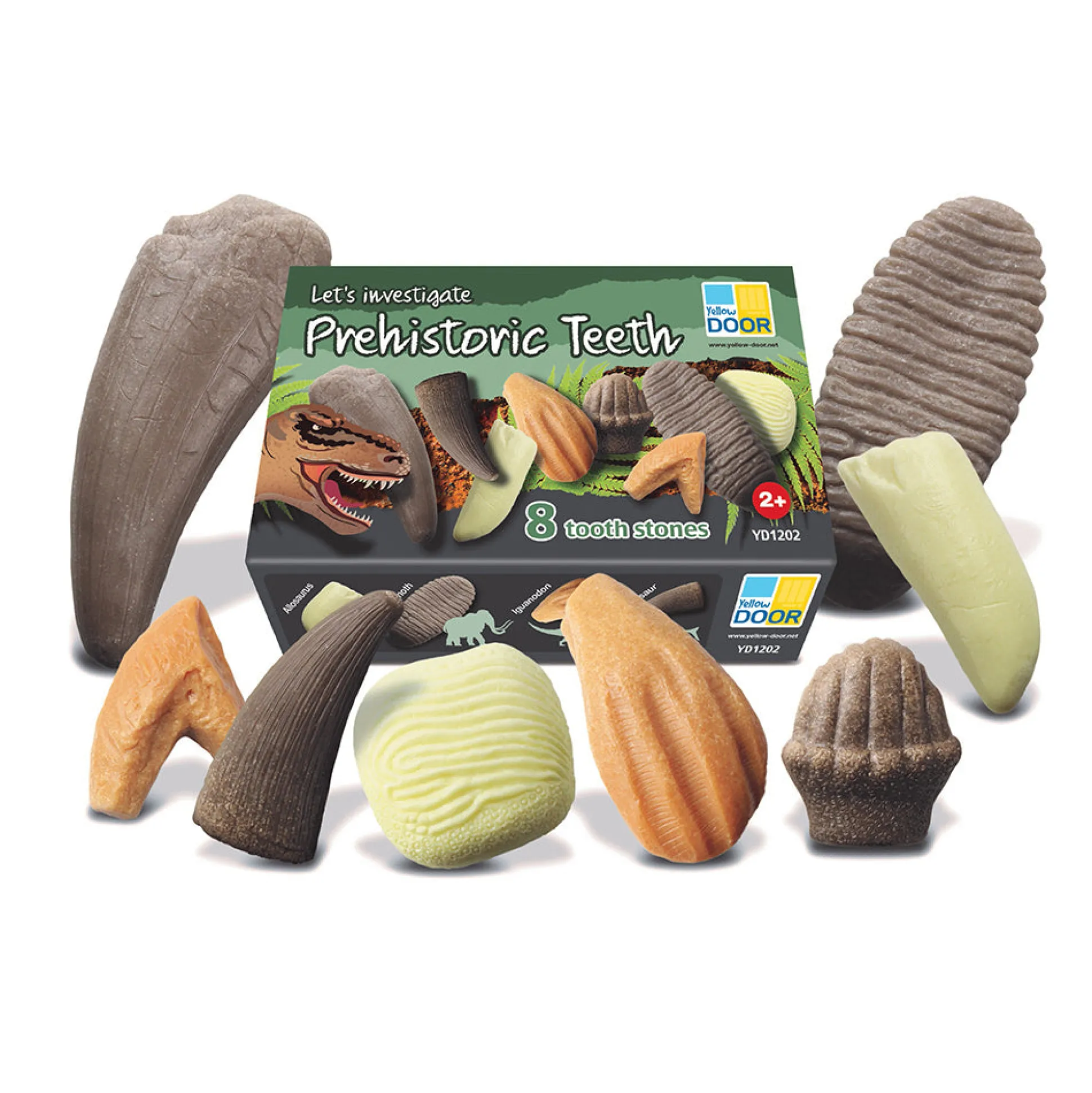 Yellow Door® Let’s Investigate Prehistoric Teeth | 8 Durable Fossil Tooth Replicas for Sensory Play, STEM Learning & Paleontology Exploration
