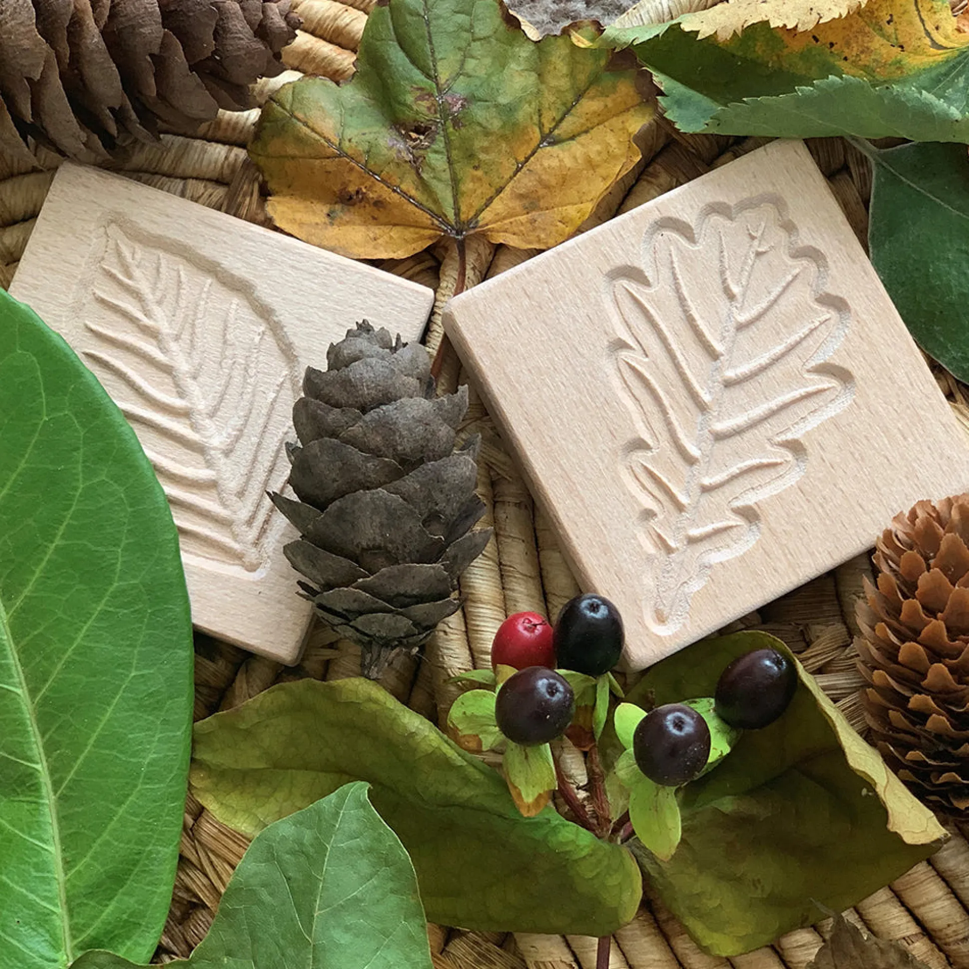Yellow Door® Match Me: Sensory Leaf Tiles
