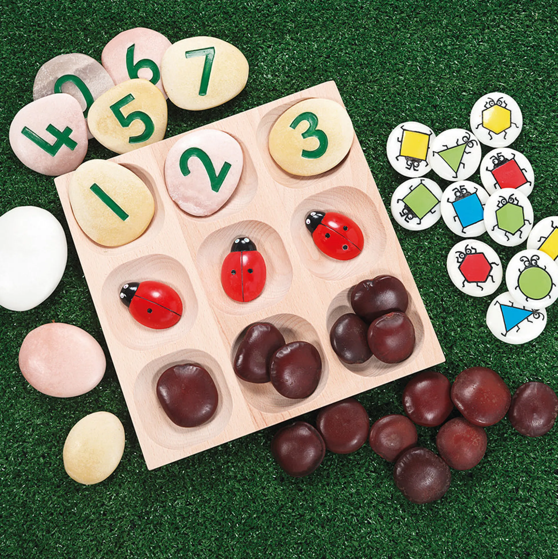 Yellow Door® Montessori Natural Sorting Tray | 9-Section FSC Beech Wood Tray for Ages 2+