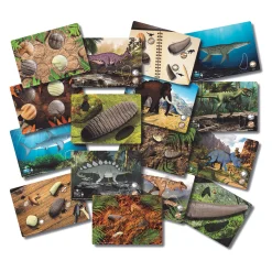 Yellow Door® Prehistoric Teeth Explore & Discover Cards